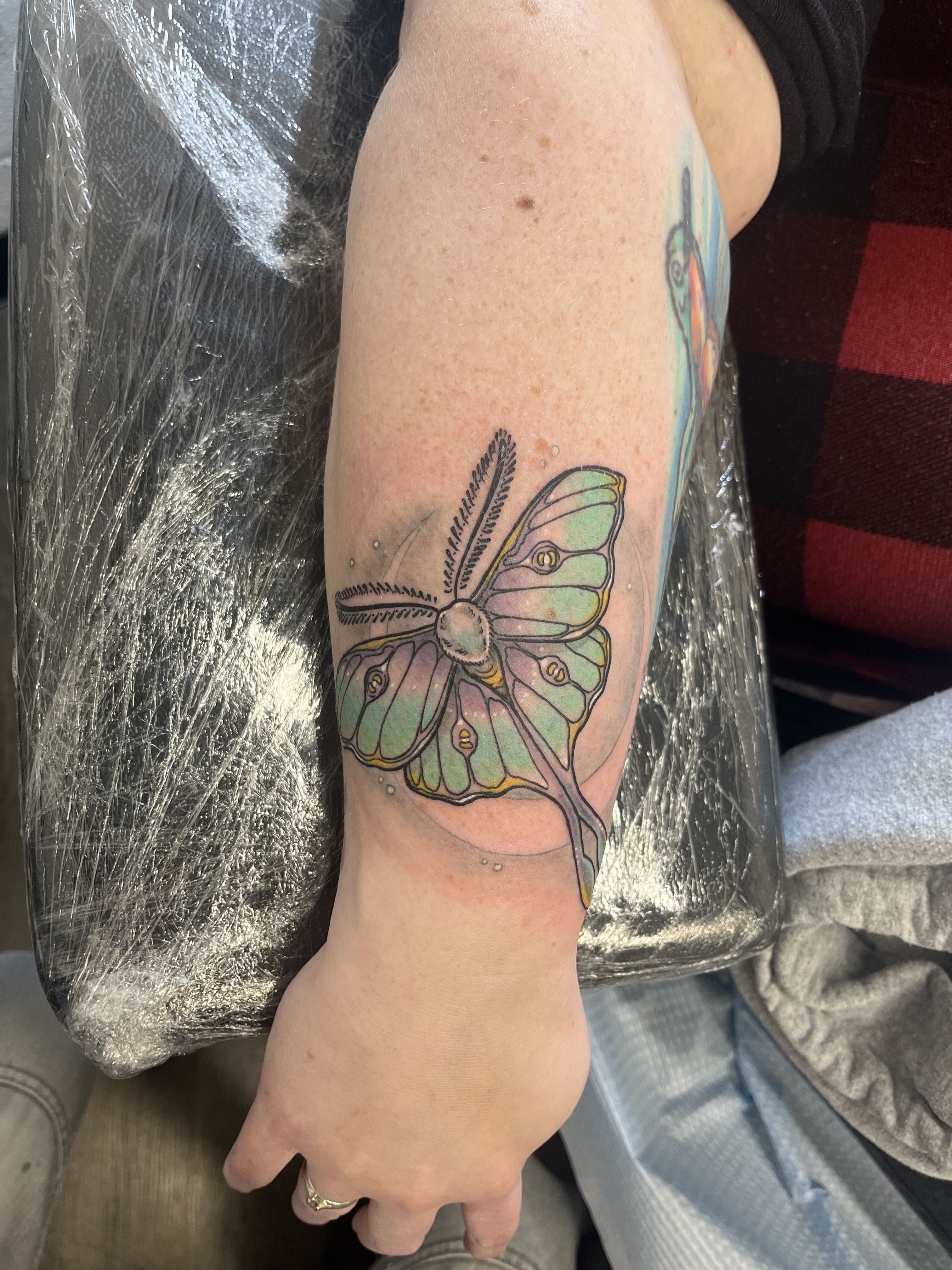 Butterfly Tattoo